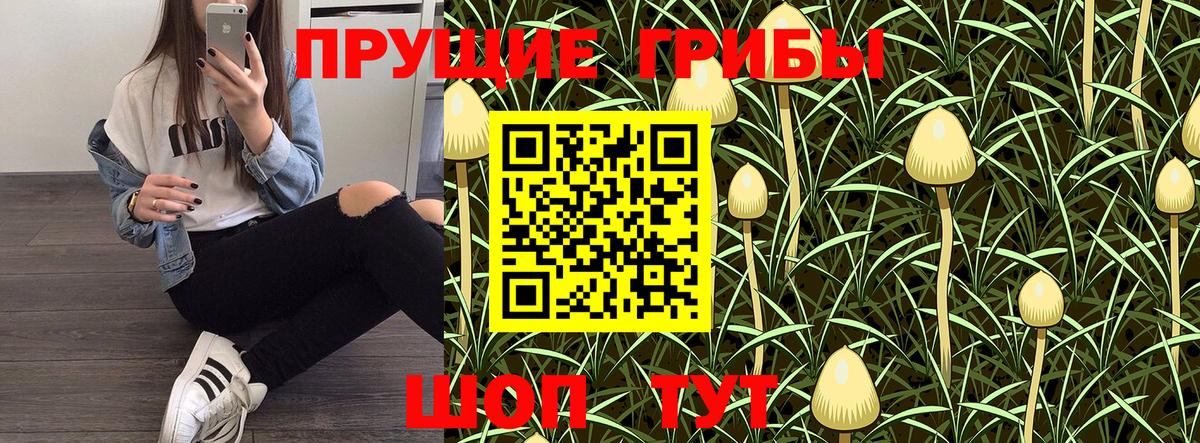 где купить наркоту  Галлюциногенные грибы GOLDEN TEACHER  Галлюциногенные грибы Cubensis  Вход с VPN  Оренбург 